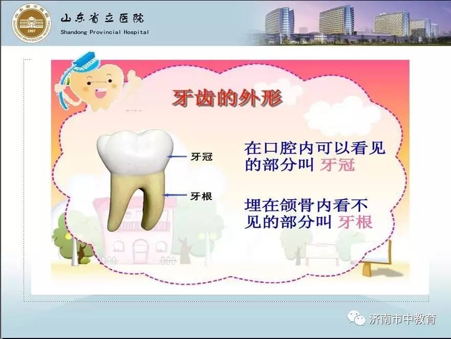 兒童口腔健康宣教內(nèi)容,兒童口腔健康宣教內(nèi)容及其重要性，詳細(xì)數(shù)據(jù)、解釋與定義,適用解析計(jì)劃方案_FT36.24.90