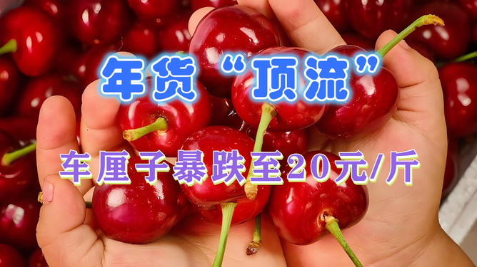 車?yán)遄拥膬r(jià)格因季節(jié)、產(chǎn)地、市場(chǎng)需求和供應(yīng)情況等因素而有所不同。如果車?yán)遄拥膬r(jià)格跌至每斤15元，可能是當(dāng)前市場(chǎng)供應(yīng)充足，而需求相對(duì)較低，導(dǎo)致價(jià)格出現(xiàn)下跌。，另外，車?yán)遄拥膬r(jià)格還受到運(yùn)輸和儲(chǔ)存成本、季節(jié)性和節(jié)日等因素的影響。在產(chǎn)地和淡季，價(jià)格可能會(huì)更低；而在銷售旺季和節(jié)日期間，價(jià)格可能會(huì)上漲。因此，消費(fèi)者可以根據(jù)市場(chǎng)需求和自身需求來選擇合適的購買時(shí)機(jī)。，不過，以上信息僅供參考。想要了解更準(zhǔn)確的價(jià)格信息，建議咨詢當(dāng)?shù)氐乃碳一虺?，以獲取最新的車?yán)遄觾r(jià)格。