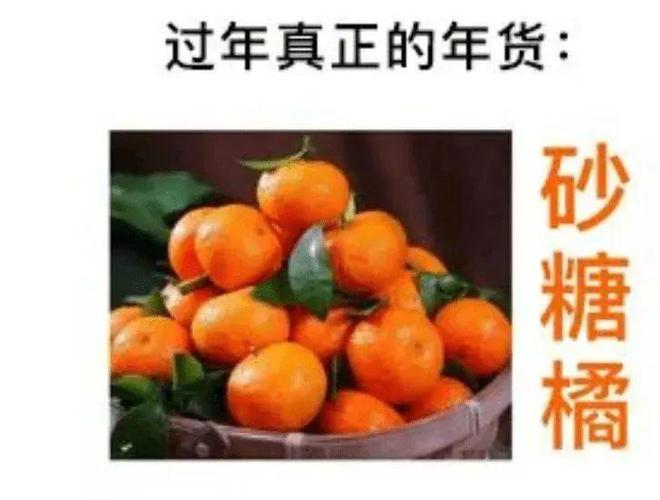 砂糖橘是一種受歡迎的柑橘類水果，通常被認為是安全可食用的。目前并沒有任何科學證據(jù)表明砂糖橘不能食用。砂糖橘含有豐富的維生素、礦物質(zhì)和纖維，對身體健康有益。，關于砂糖橘不能食用的說法可能源于一些誤解或未經(jīng)驗證的信息。請確保從可靠的來源獲取關于食物安全的信息，并遵循食品安全指南，以確保食用安全和健康。如果對砂糖橘的食用有任何疑慮，建議咨詢專業(yè)醫(yī)生或食品安全專家。