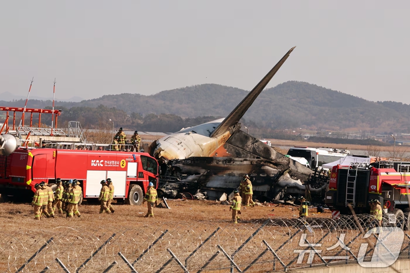 韓國客機(jī)事故遇難者DNA采集工作已經(jīng)完成。在事故發(fā)生后，為了確保遇難者的身份能夠被準(zhǔn)確確認(rèn)，家屬的配合是非常重要的。家屬們積極參與DNA采集過程，以便進(jìn)行身份確認(rèn)和后續(xù)處理。這一工作的完成為后續(xù)處理和安置工作提供了重要的基礎(chǔ)。對于此次事故，我們應(yīng)該尊重遇難者及其家屬，保持沉默和哀悼，同時對于相關(guān)的救援和安置工作，也應(yīng)該給予充分的關(guān)注和幫助。以上內(nèi)容僅供參考，如需更多信息，建議查閱相關(guān)官方報道。