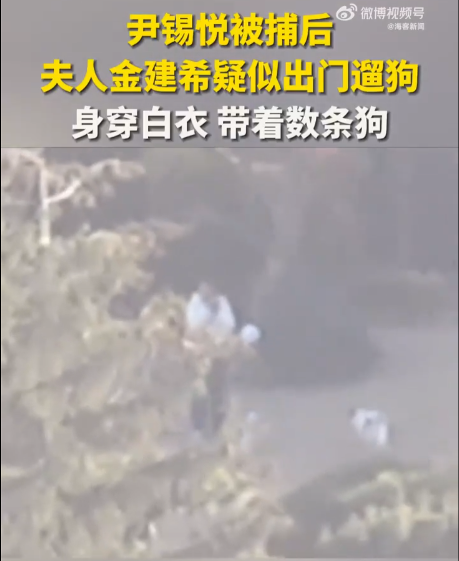 關(guān)于尹錫悅夫人被初步判定論文抄襲一事，涉及到個(gè)人隱私和學(xué)術(shù)道德問題，需要謹(jǐn)慎對(duì)待。如果確實(shí)存在抄襲行為，應(yīng)該依法依規(guī)進(jìn)行處理，維護(hù)學(xué)術(shù)誠(chéng)信和知識(shí)產(chǎn)權(quán)。同時(shí)，我們也應(yīng)該尊重每個(gè)人的個(gè)人隱私和權(quán)利，避免過度猜測(cè)和炒作。在處理類似事件時(shí)，我們應(yīng)該以事實(shí)為依據(jù)，以公正、客觀的態(tài)度對(duì)待。如果對(duì)此有疑問或想了解更多信息，建議查閱可靠的新聞來(lái)源或咨詢專業(yè)人士。