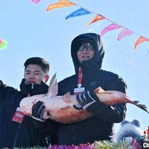 是的，據(jù)報(bào)道，吉林省查干湖的頭魚(yú)在拍賣(mài)中以高價(jià)成交，成交價(jià)為人民幣1199999元。這一事件引起了廣泛的關(guān)注和討論。查干湖頭魚(yú)的高價(jià)成交反映了當(dāng)?shù)貪O業(yè)資源的豐富和人們對(duì)優(yōu)質(zhì)魚(yú)類(lèi)的需求。同時(shí)，這也體現(xiàn)了人們對(duì)美好生活的向往和對(duì)傳統(tǒng)文化的尊重。