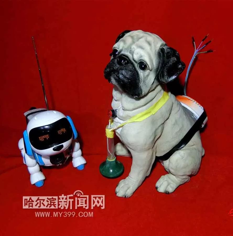 關于中國坐騎機器狗的相關報道和視頻引起了韓國網(wǎng)友的關注和熱議。一些韓國網(wǎng)友在看到中國制造的坐騎機器狗后，可能會感到驚訝和贊嘆其先進的技術和設計。這也反映了中國制造業(yè)在科技領域的快速發(fā)展和創(chuàng)新實力。，不過，對于任何社交媒體上的討論和評論，我們應該保持理性和客觀的態(tài)度。不同的人會有不同的觀點和感受，我們應該尊重彼此的觀點和差異。同時，我們也應該努力推動科技創(chuàng)新和制造業(yè)的發(fā)展，為人類創(chuàng)造更多的福祉和價值。