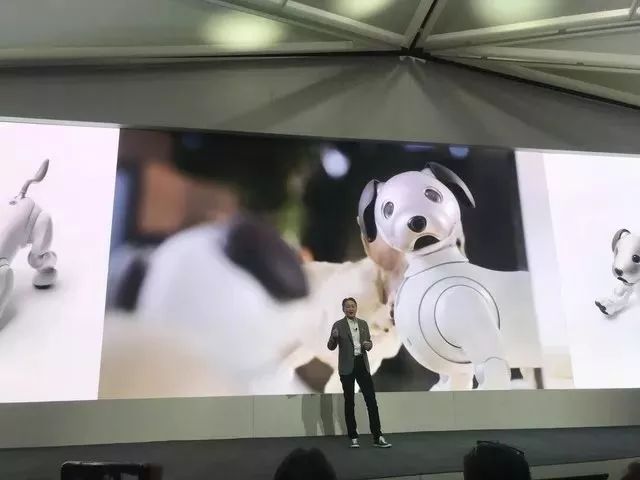 CES上中國機器狗一天被定光