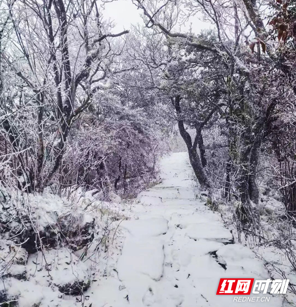 長(zhǎng)沙下雪