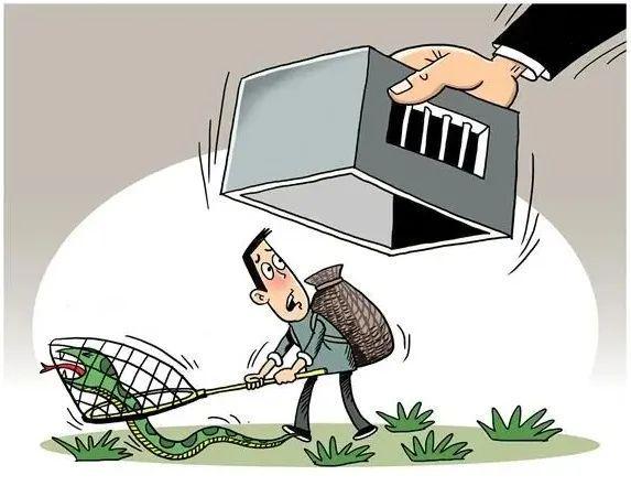 付不起600萬非法狩獵罰款被罰種樹