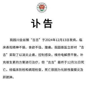 重慶動(dòng)物園金絲猴吉吉去世