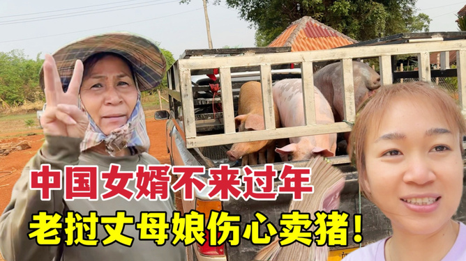 16個外甥來過寒假 舅舅備了3頭豬