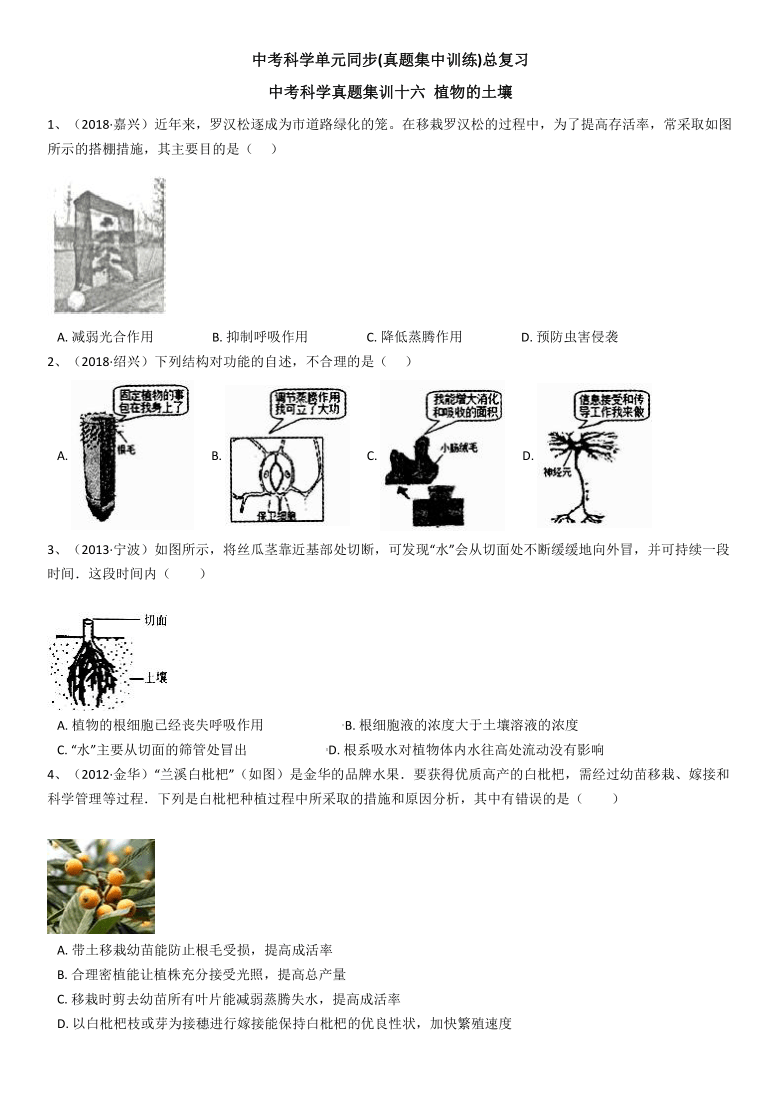 小魚兒玄機2,科學解析評估_專屬款21.67.40