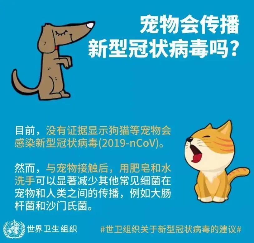 2025新澳門(mén)正版資料免貴大全,3歲女童同時(shí)感染3種呼吸道病毒