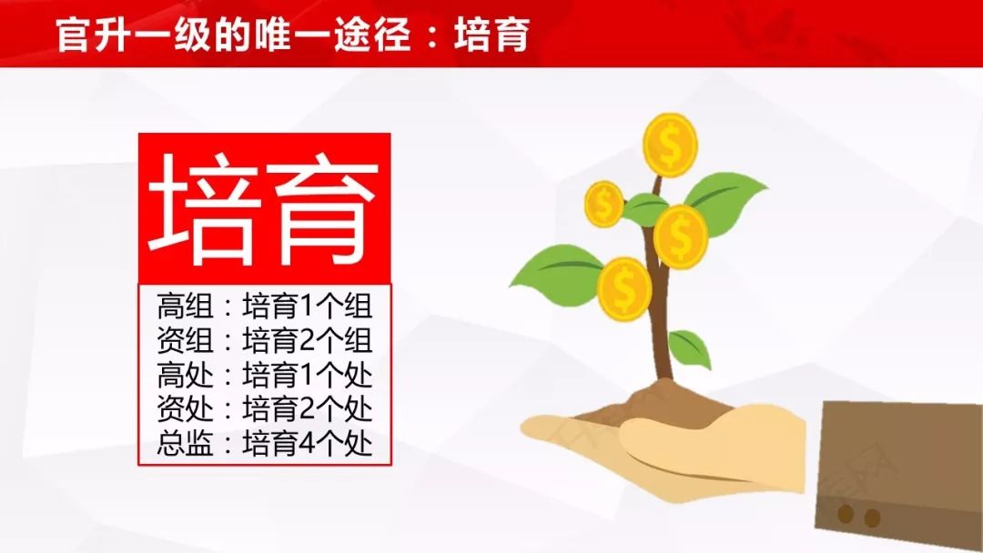 搖錢樹資料免費(fèi)公開一,在遵規(guī)守紀(jì)中改革創(chuàng)新、干事創(chuàng)業(yè)