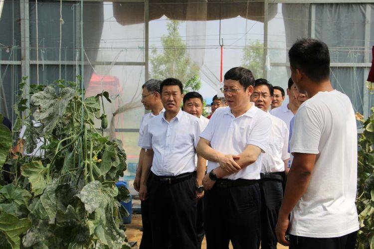 澳門(mén)三肖三碼精準(zhǔn)100%五不中,2025新春走基層丨共赴美好未來(lái)