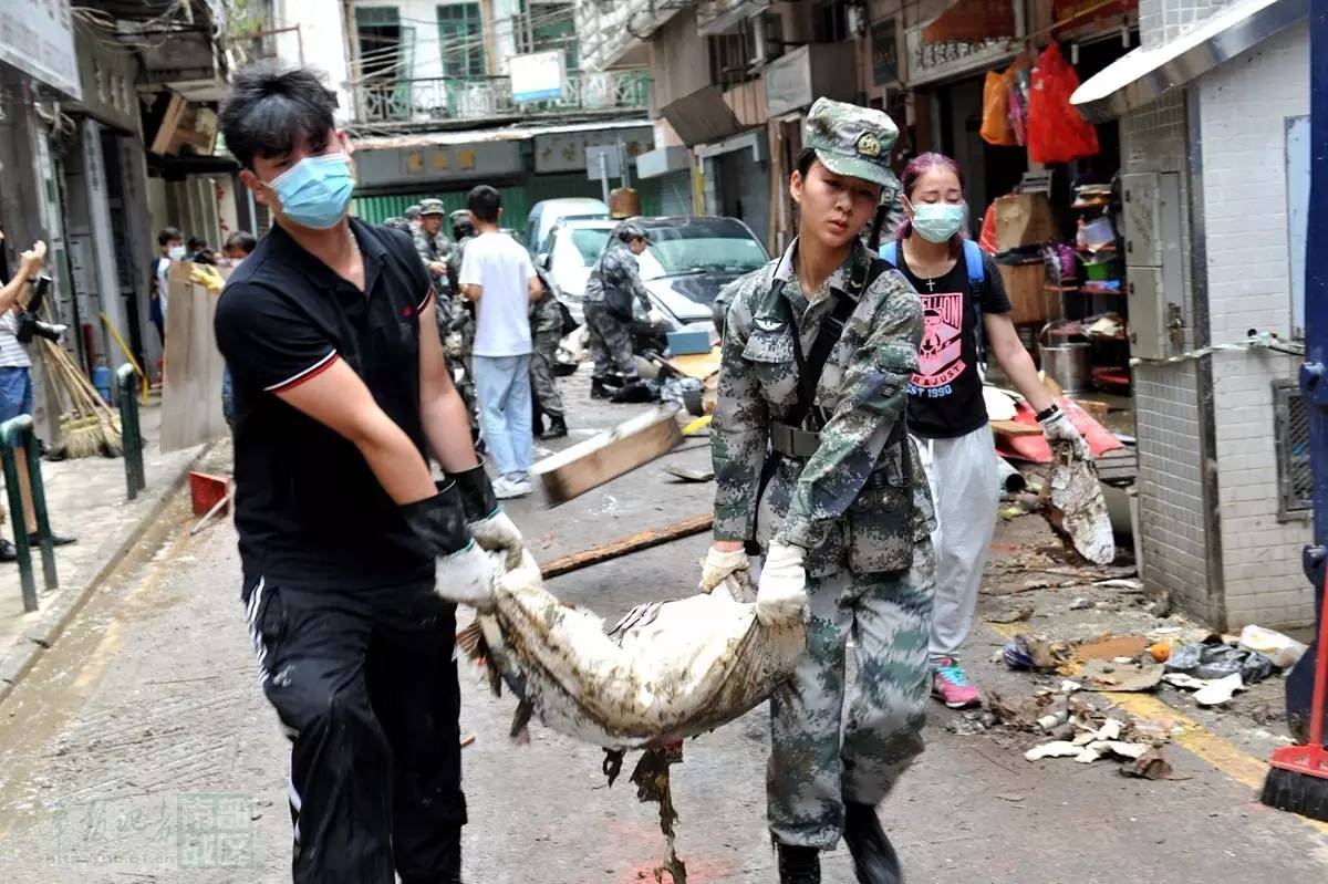 新澳門資料資料資料大全,20畝小麥青苗被毀 兩名肇事者逃跑