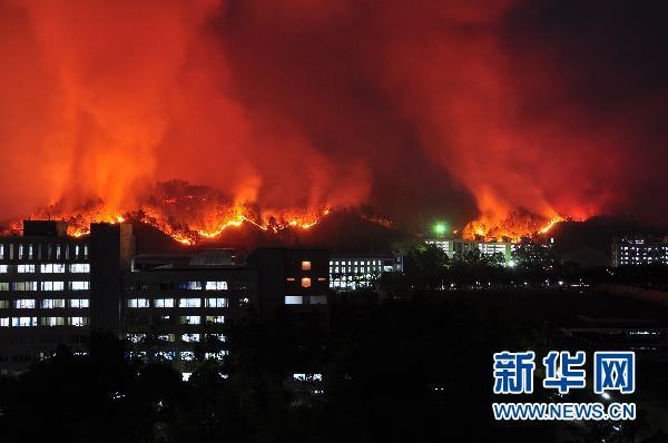 遇見(jiàn)你就被撂倒 第31頁(yè)