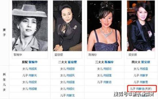 澳門正版免費資料公示正宗版,楊子：我又不是找不著更好的