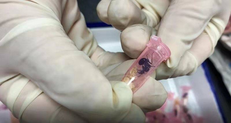 奧門免費(fèi)資科大全澳門開獎大全,女生吃糖葫蘆被粘掉兩顆牙