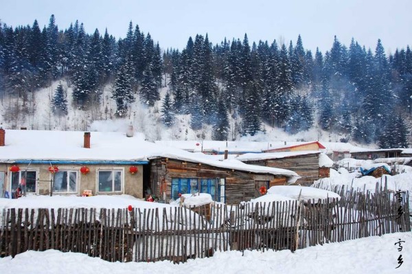 處罰打一肖正答案,雪鄉(xiāng)景區(qū)大年初三將閉園？不實