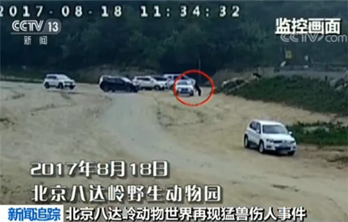 合單大數(shù)旺本期是什么動(dòng)物,德國(guó)車(chē)輛沖撞人群事件致2死68傷