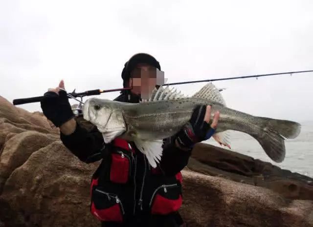 54k波肖門尾圖庫(kù)7460曬,釣魚(yú)佬路亞甩桿神級(jí)救人