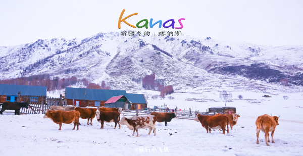 澳門今晚開特馬 開獎結(jié)果課優(yōu)勢,女生滑雪撿到外國人手機絞盡腦汁尋人