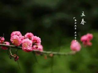 澳門(mén)正版資料大全免費(fèi)com,立春養(yǎng)肝好時(shí)節(jié)