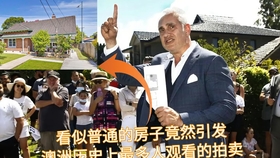 新澳天天彩資料大全最新,哈爾濱一冰雕多處血??？媒體核查