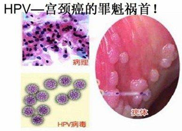 可樂味的小仙女 第9頁