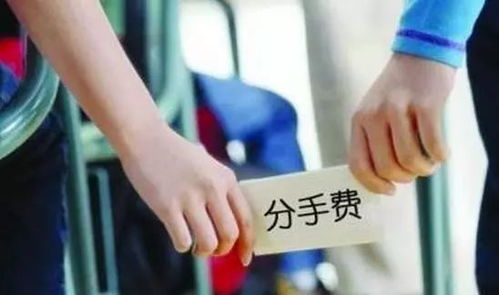 澳門六碼六肖資料,自駕游阿姨已轉(zhuǎn)男方16萬分手費