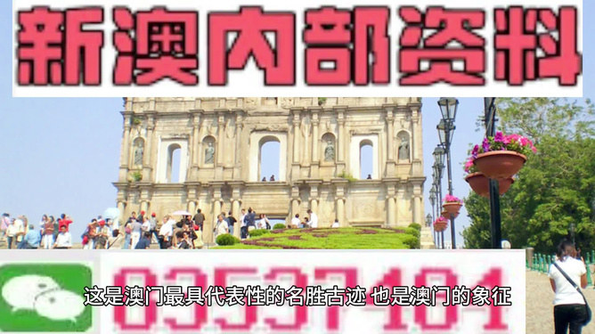 澳門內(nèi)部資料精準(zhǔn)大全澳門最,TikTok日活降至8220萬