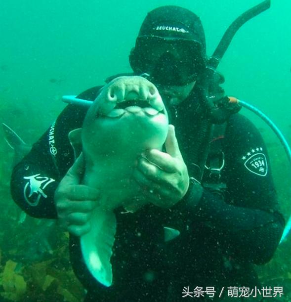 抹不掉一種輕狂 第9頁