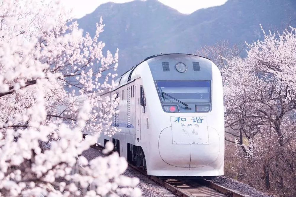 澳門藍(lán)月亮精選非常精準(zhǔn)資料,列車因撞鳥臨時(shí)停車 9趟列車晚點(diǎn)