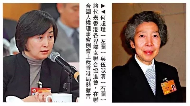 香港2025綜合資料全年篇,終于有全女性家族的國產(chǎn)劇了