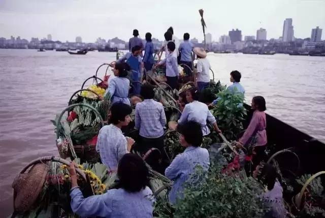 澳天天彩資料免費大全最新,男子看到大魚在冰下“睡覺”撿回家
