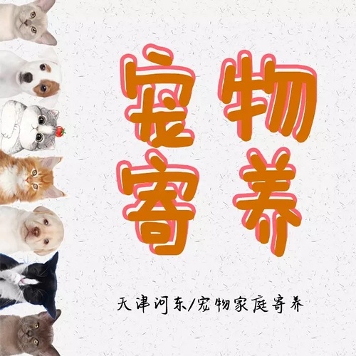 孤單的城 第6頁(yè)