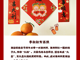奧門管家婆一肖一馬資料正版,多地明確春節(jié)可燃放煙花爆竹
