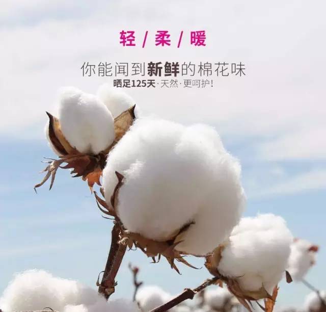 49圖庫-資料600圖庫,用棉花替代真雪景區(qū)已關(guān)閉并致歉