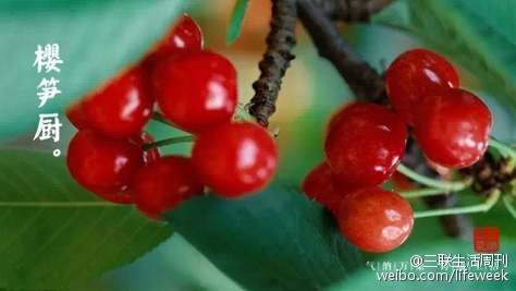 新澳門(mén)189期開(kāi)獎(jiǎng)結(jié)果,十斤車(chē)?yán)遄尤飰墓?山姆回應(yīng)