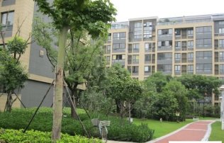 南京奧體新城青桐園小區(qū)概況,王寶強(qiáng)減重30斤