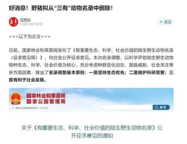 老澳門(mén)六開(kāi)獎(jiǎng)結(jié)果2025開(kāi)獎(jiǎng)記錄查詢,徐嬌是所有苦二手煙人的嘴替