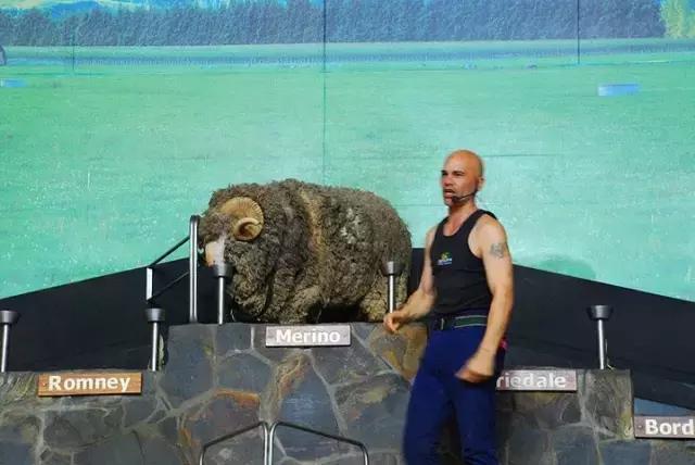 澳門開獎現(xiàn)場開獎直播,9歲小男孩嫻熟解剖動物內(nèi)臟