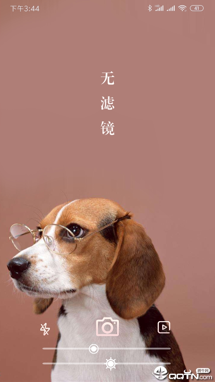 2025年好運(yùn)的生肖,長(zhǎng)沙消防“機(jī)器狗”正式上線