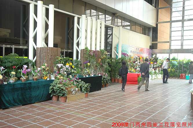 澳門免費大全精準版,堂兄弟5人共墻重建老宅花兩百萬
